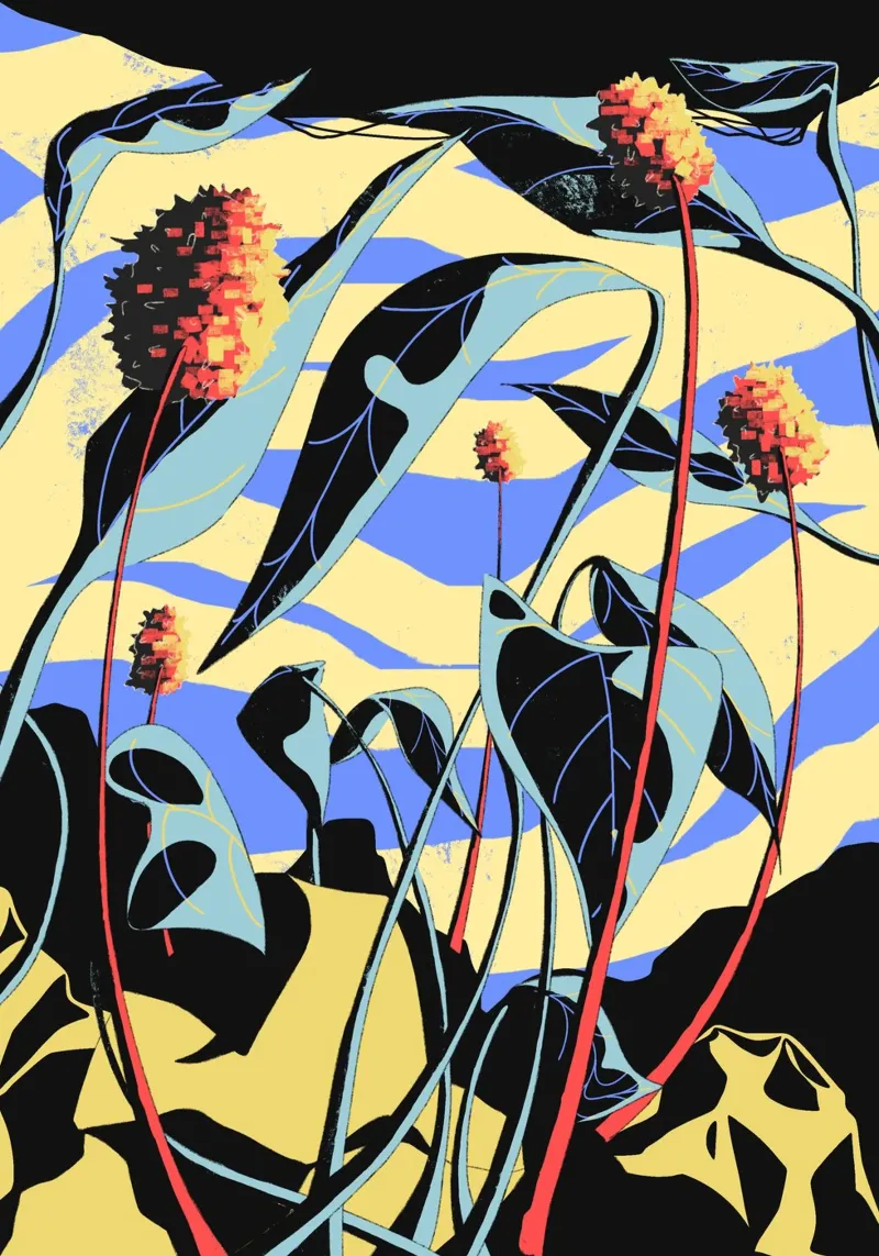 Hill Weeds poster con telaio in legno da illustfire