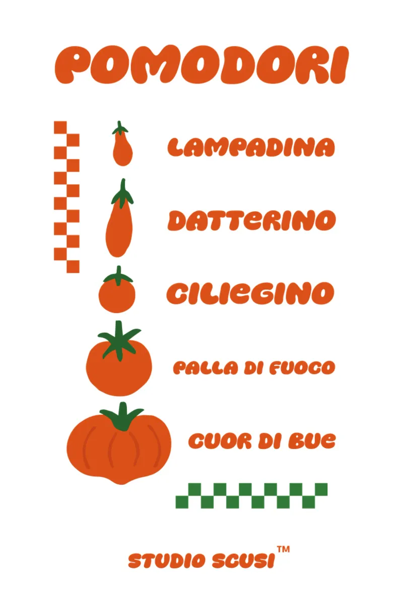 Pomodori - Tomatoe Types poster con telaio in plastica da studio scusi