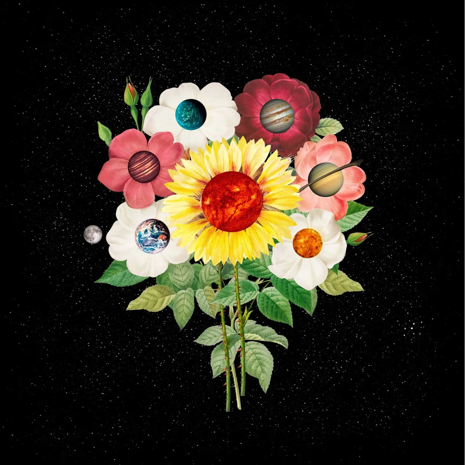 SunFlower System Planets canvas by FabiWes