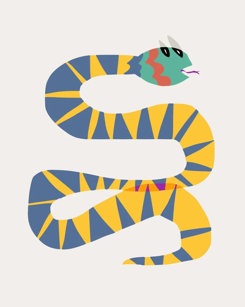 Serpente funky poster da Little Dean