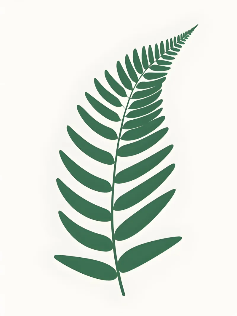 Fern Frond canvas with Floater frame by The Green Room