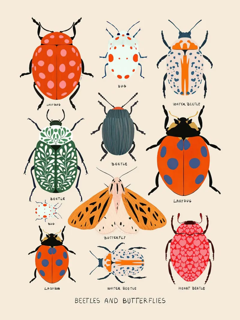 Stampa di coleotteri e farfalle poster da MelisaArt