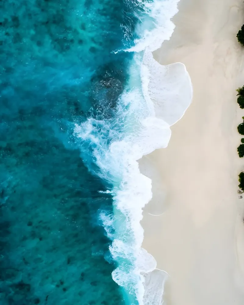 Spiagge tropicali tela con Cornice a cassetta da luxi&lace