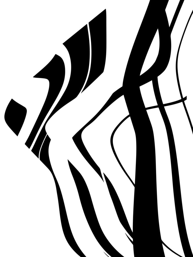 Organic 4 | Black & White poster de sabidussi