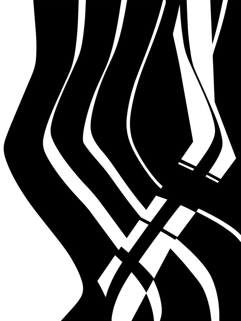 Organic 6 | Black & White Poster von sabidussi