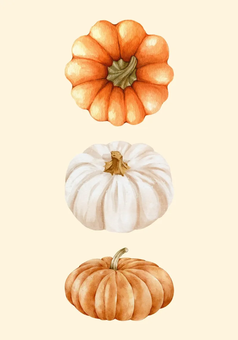 Tre zucche acquerellate - Decorazione autunnale rustica tela con Cornice a cassetta da vintagepod