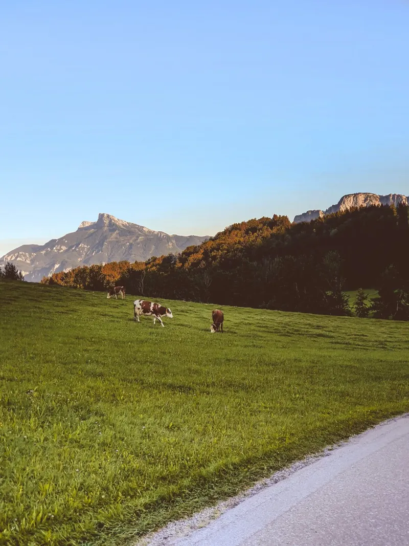 Tramonto in montagna poster da Journey of Vanessa