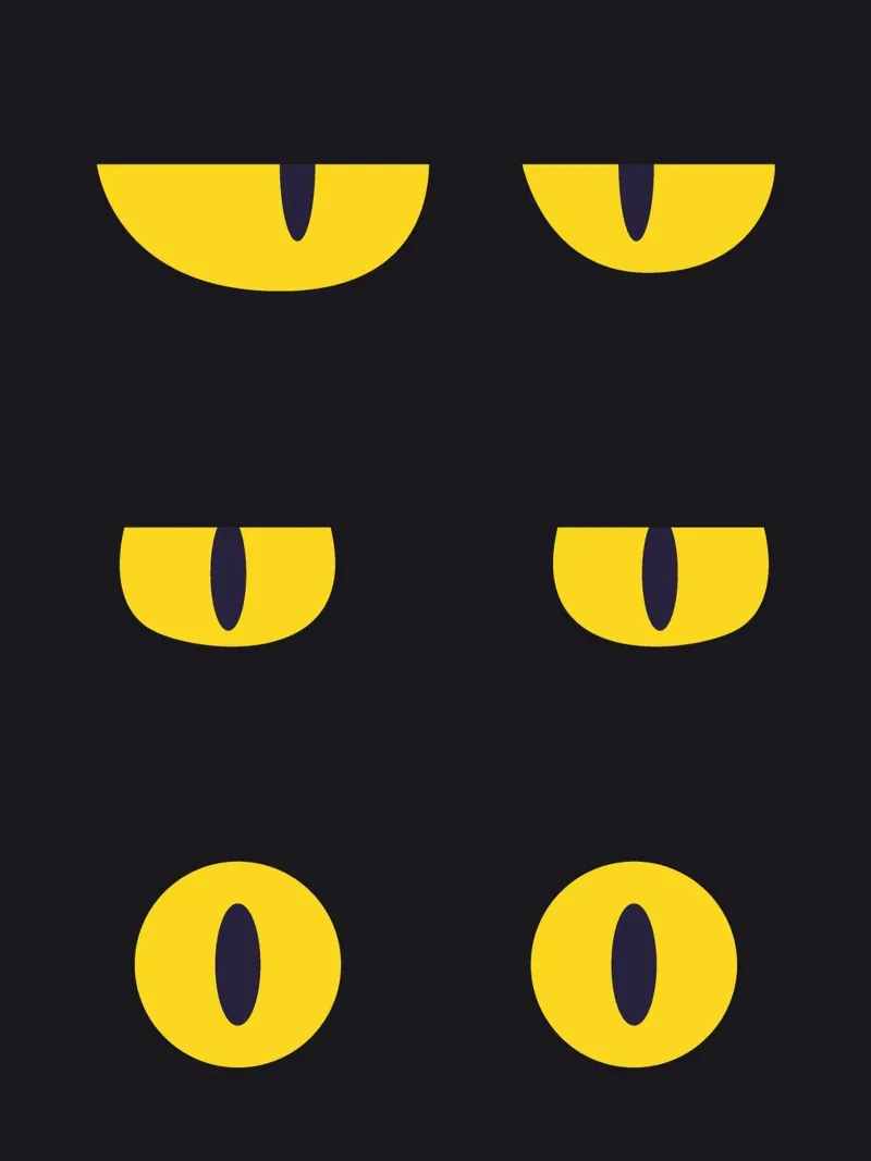 Lazy Cat Eye In The Dark hahnemühle by galihstudio