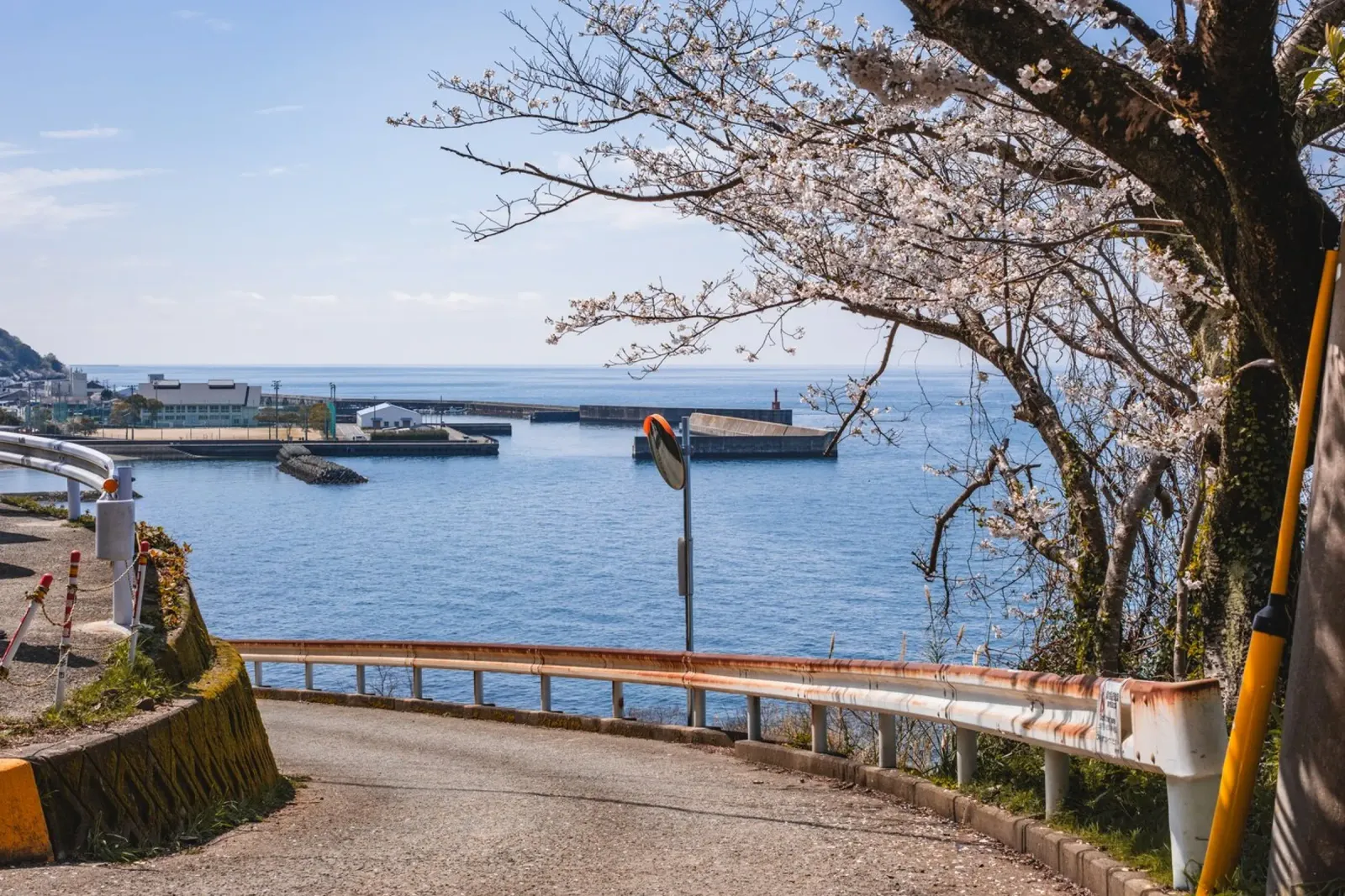 Strada oceanica dei ciliegi in fiore a Shikoku, Giappone poster da Marcel Bisig
