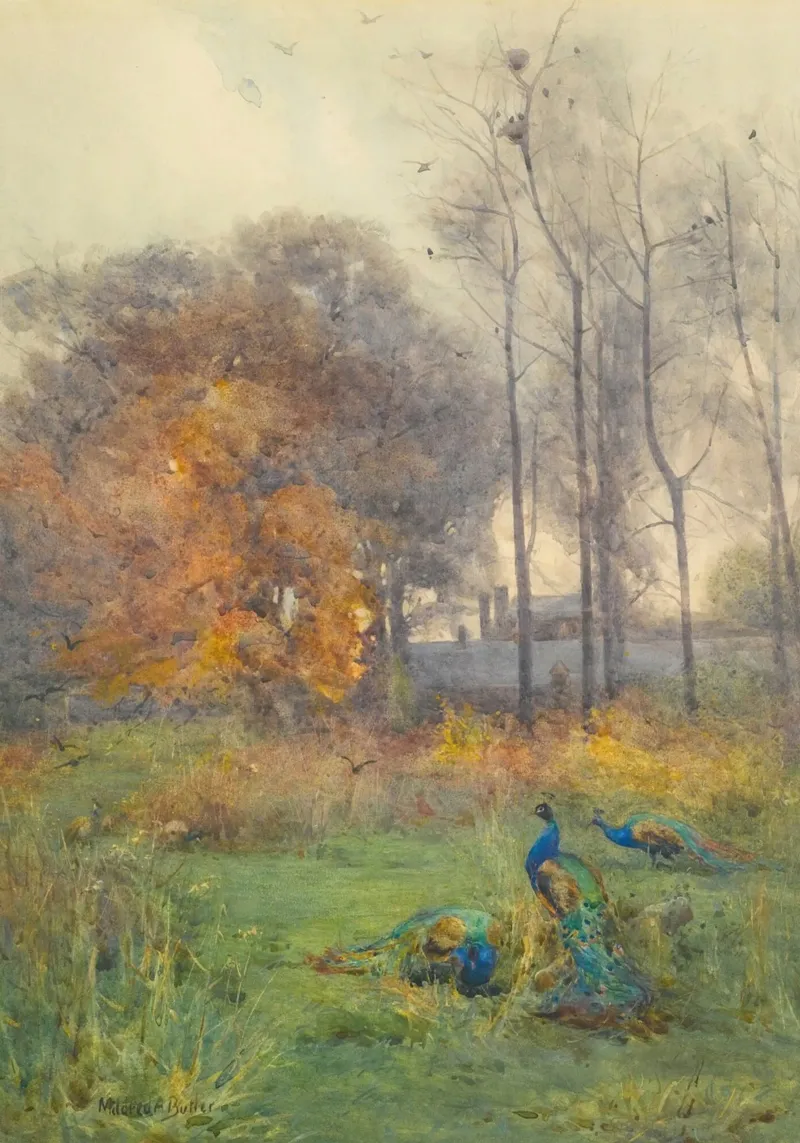 Pavoni in un paesaggio autunnale Arte ad acquerello poster con telaio in alluminio da vintagepod