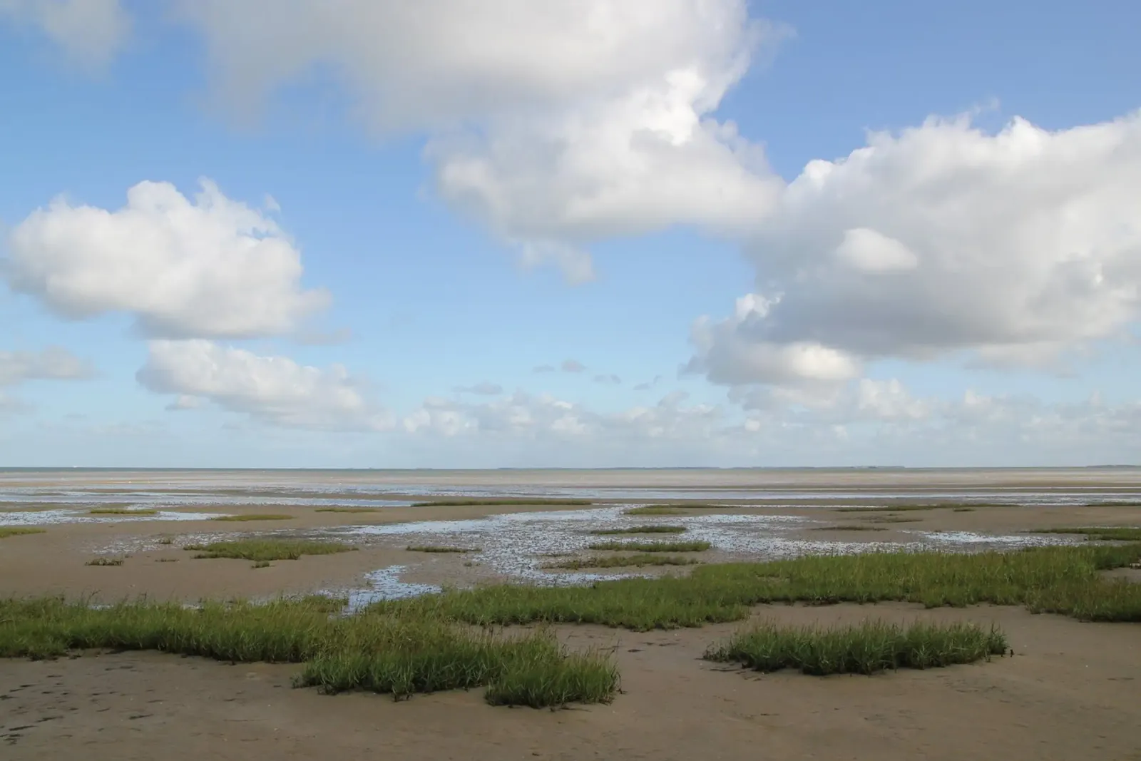 Wattenmeer poster con telaio in alluminio da eyes & tries