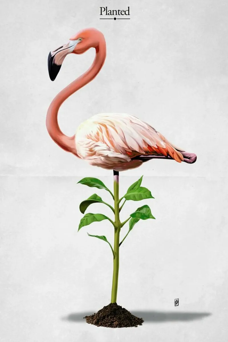 Planted (Titled) pellicola backlit da Rob Art | Illustration