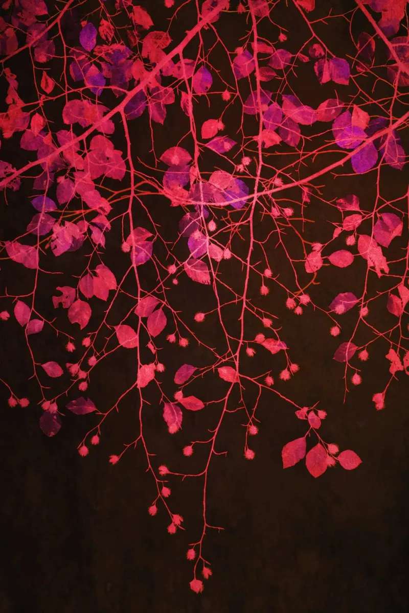 fiery veil poster da Visuelle Poesie am Wegesrand