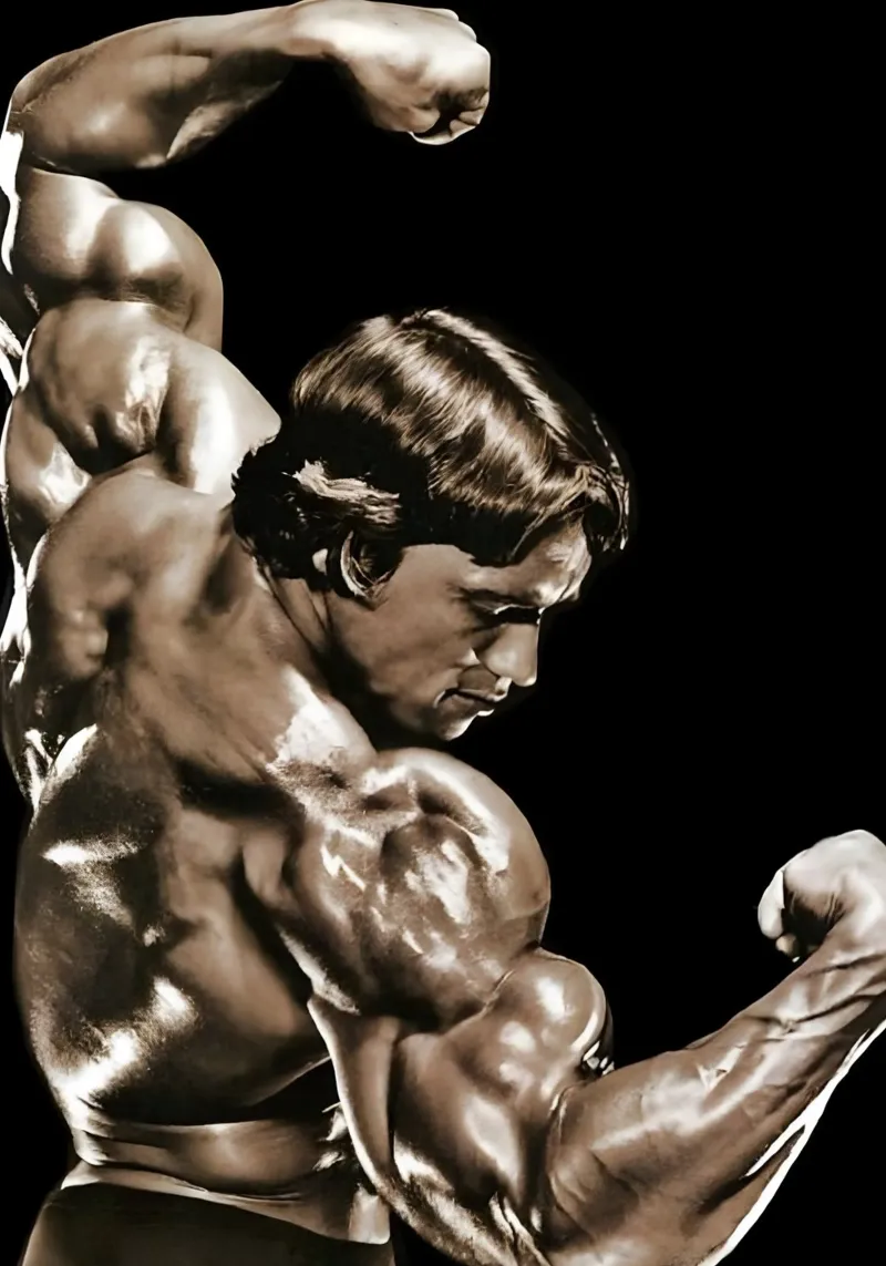 Arnold Schwarzenegger poster da Low poly art