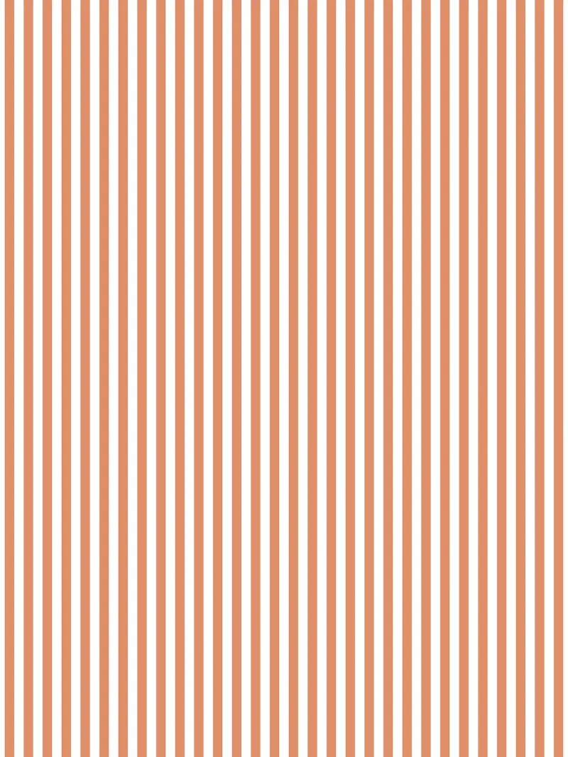 Basic Classic Bold Stripes 2 | Blanc et orange terracotta hahnemühle de Beauty in Simplicity