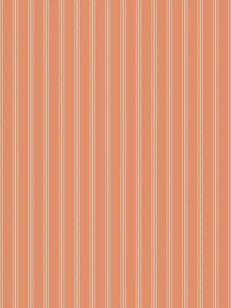 Classico scandinavo a strisce miste | Bianco su terracotta Ora pellicola backlit da Beauty in Simplicity