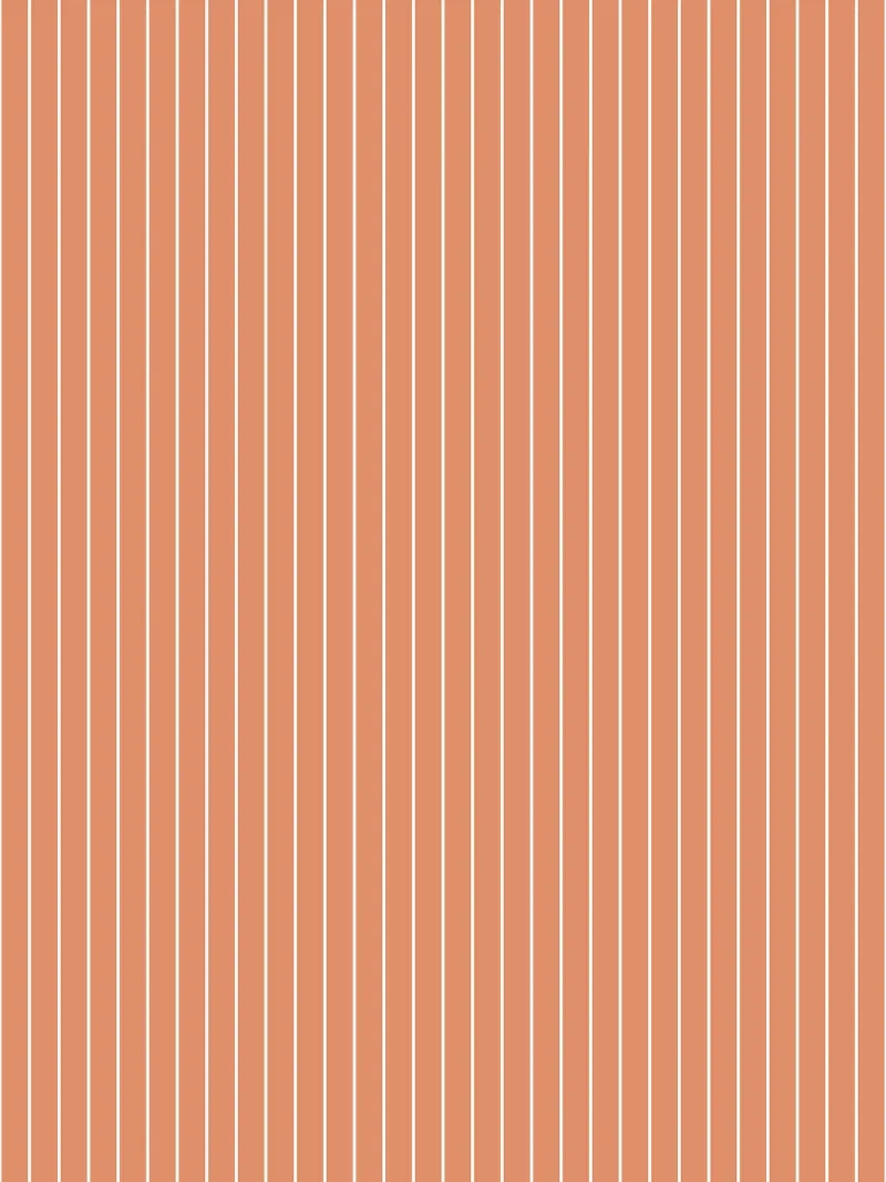 Minimal Basic Classic Pinstripe | Bianco su Arancione Terracotta pellicola backlit da Beauty in Simplicity