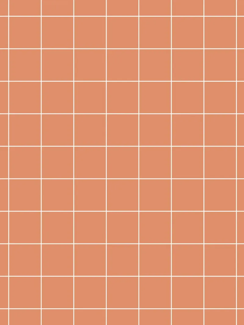 Minimal Basic Classic Big Grid | Bianco su Terracotta Arancione pellicola backlit da Beauty in Simplicity