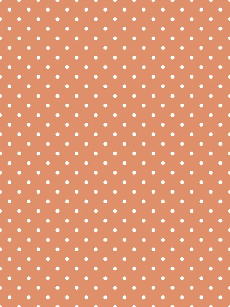 Minimal Klassieke Polka Dots | Wit op Terracotta Oranje hahnemühle van Beauty in Simplicity