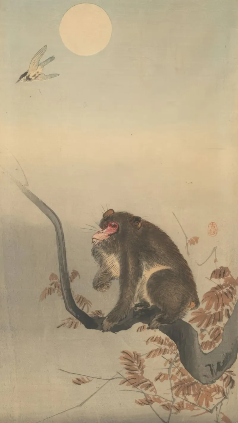 Koson Ohara, Monkey Siting on a Branch, Looking at a Bird hahnemühle by Retrorise