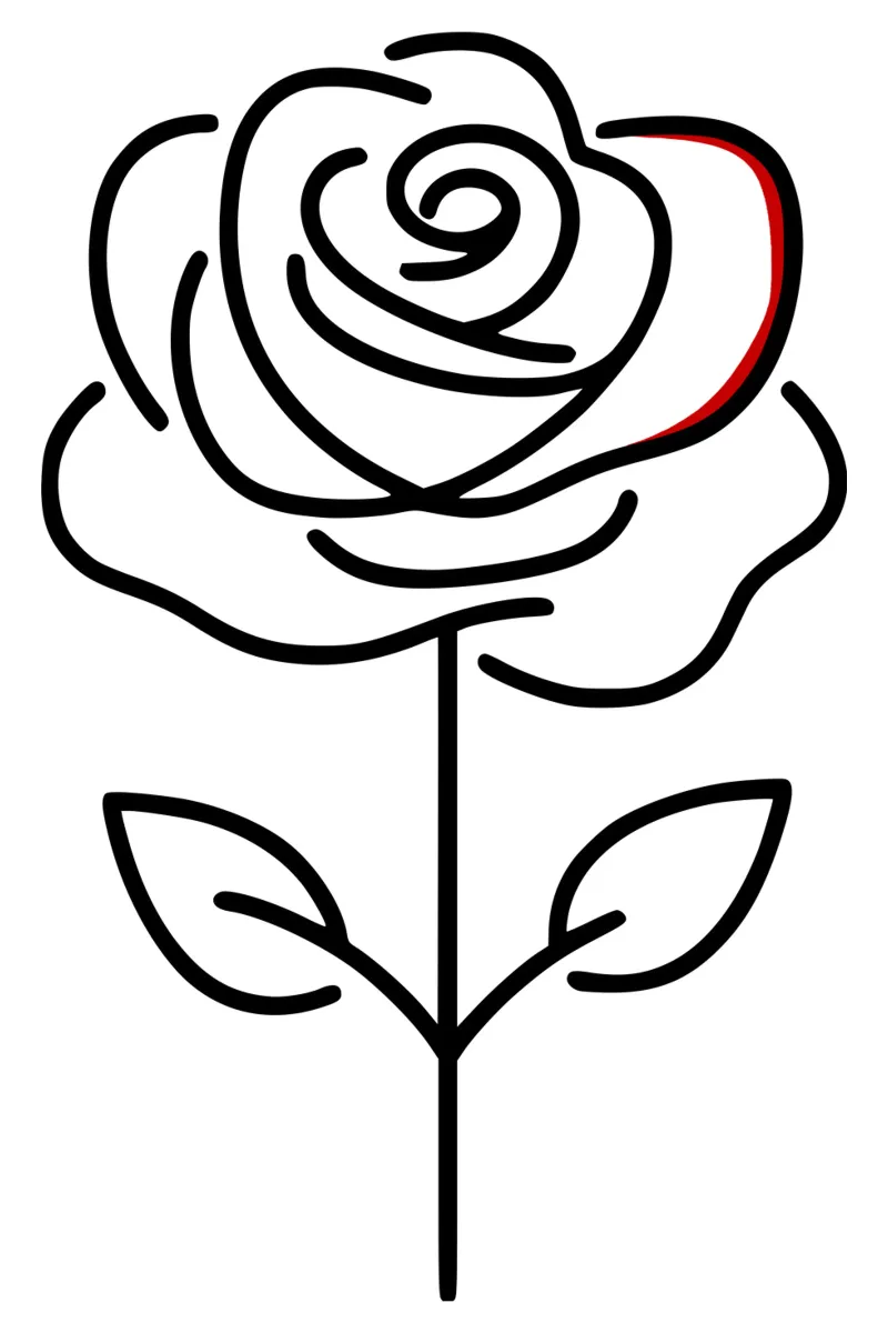 Rosa in versione minimalista con un tocco di rosso pellicola backlit da Bold & Simple