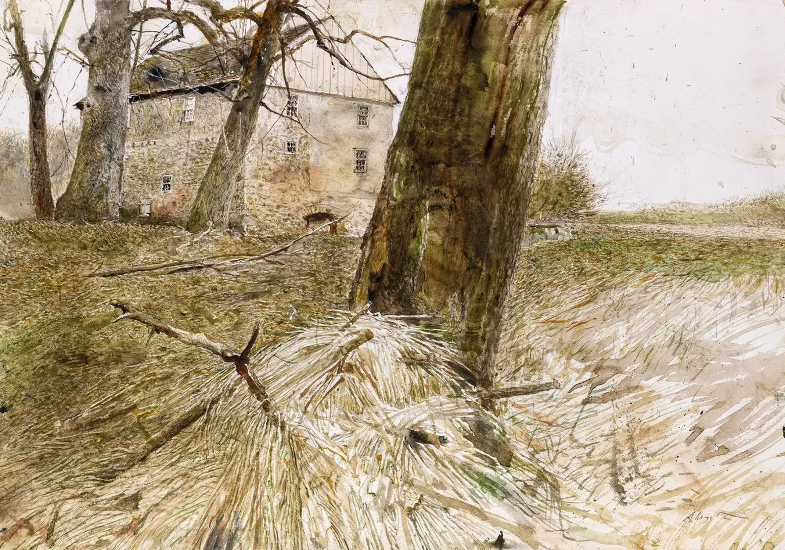 Studio sull'Arca di Noè di Andrew Wyeth pellicola backlit da Trudeau Art Studio