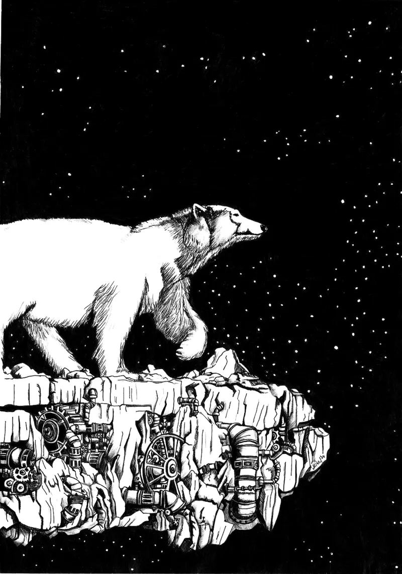 Icebearg carta hahnemühle da picazzy
