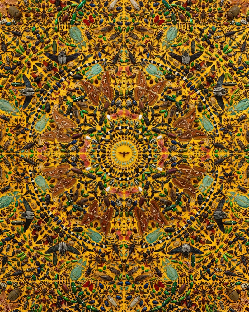 Damien HIrst Dot Color 2 pellicola backlit da Palletolate