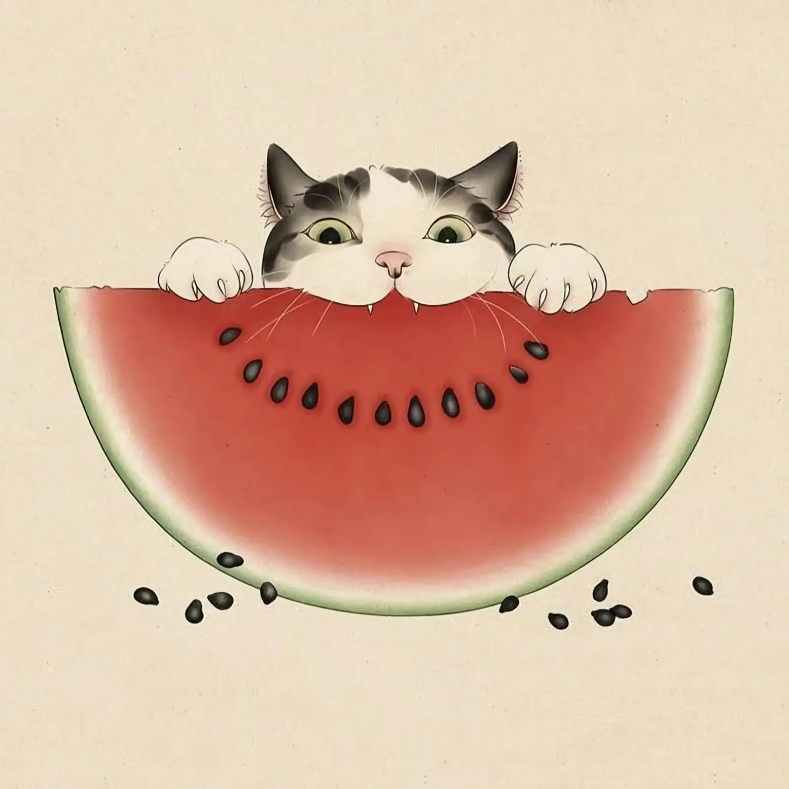 cat and watermelon pellicola backlit da feny