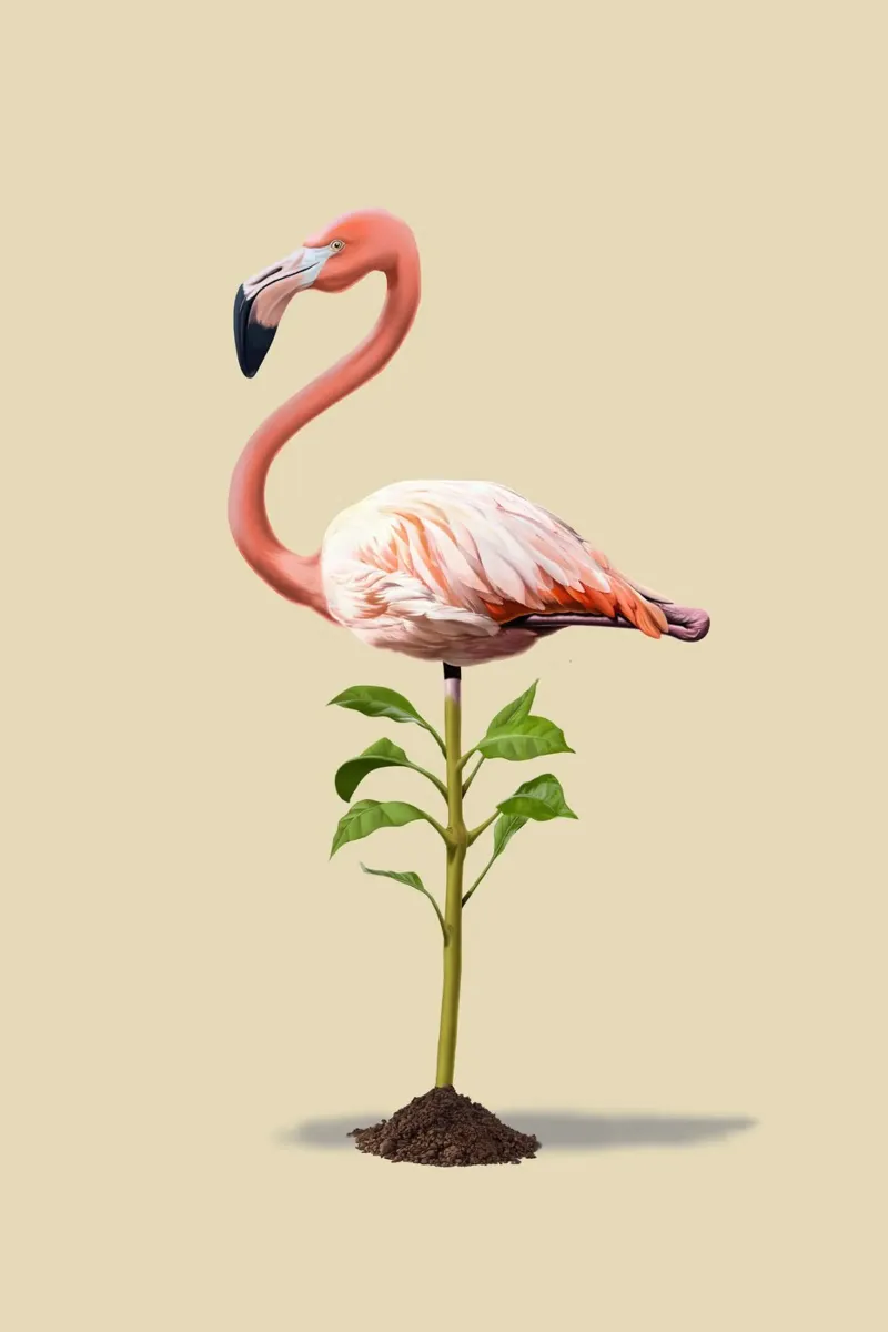 Planted (Colour) pellicola backlit da Rob Art | Illustration