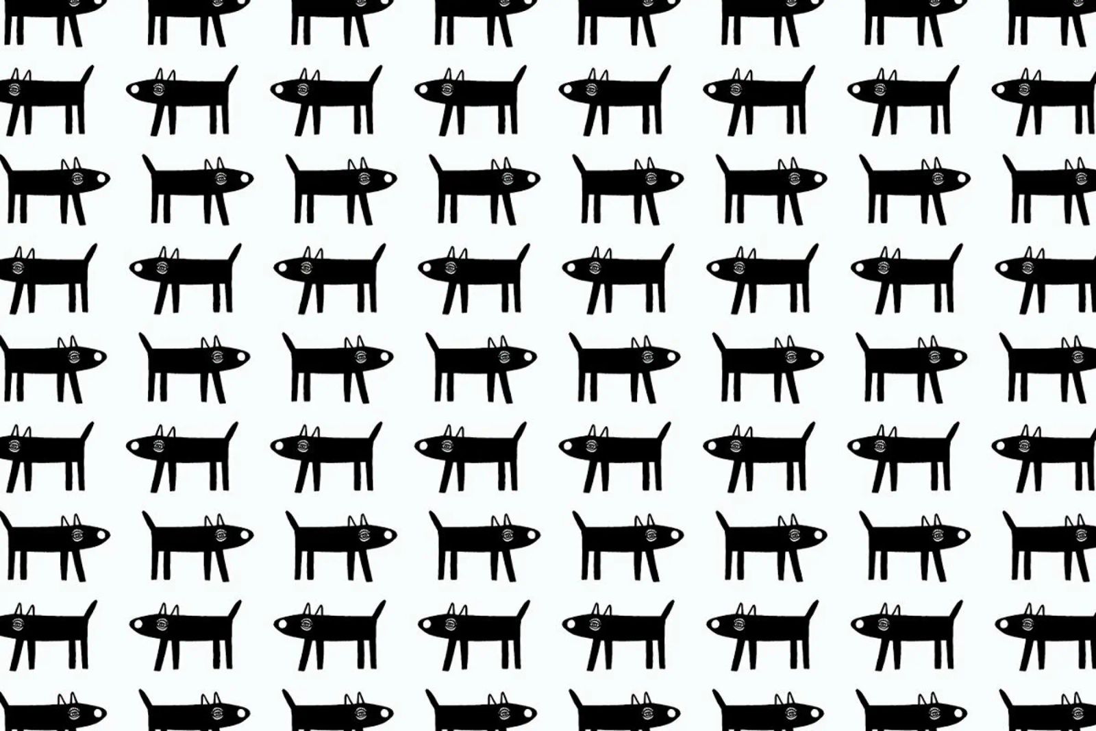 dog pattern 1 pellicola backlit da Studio Teer