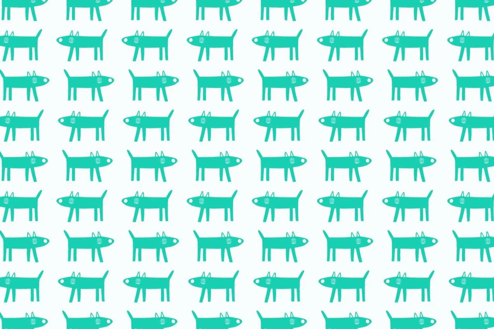 dog pattern 3 pellicola backlit da Studio Teer