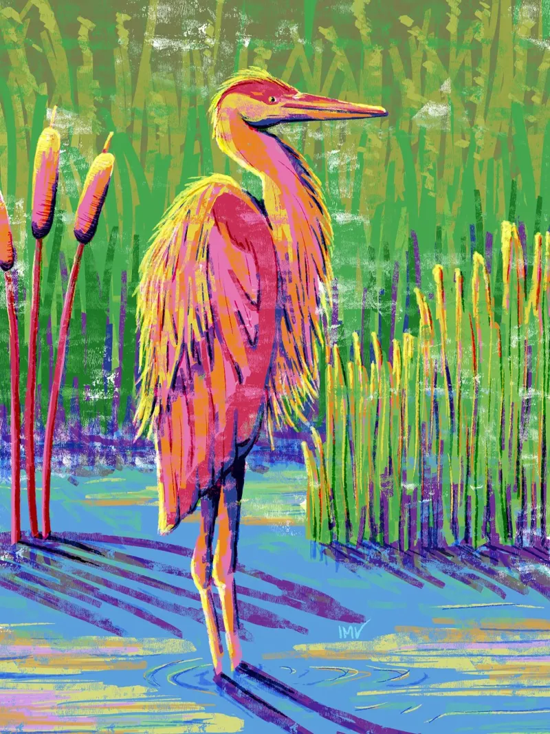 Great Heron #1 pellicola backlit da imvartwork - UK