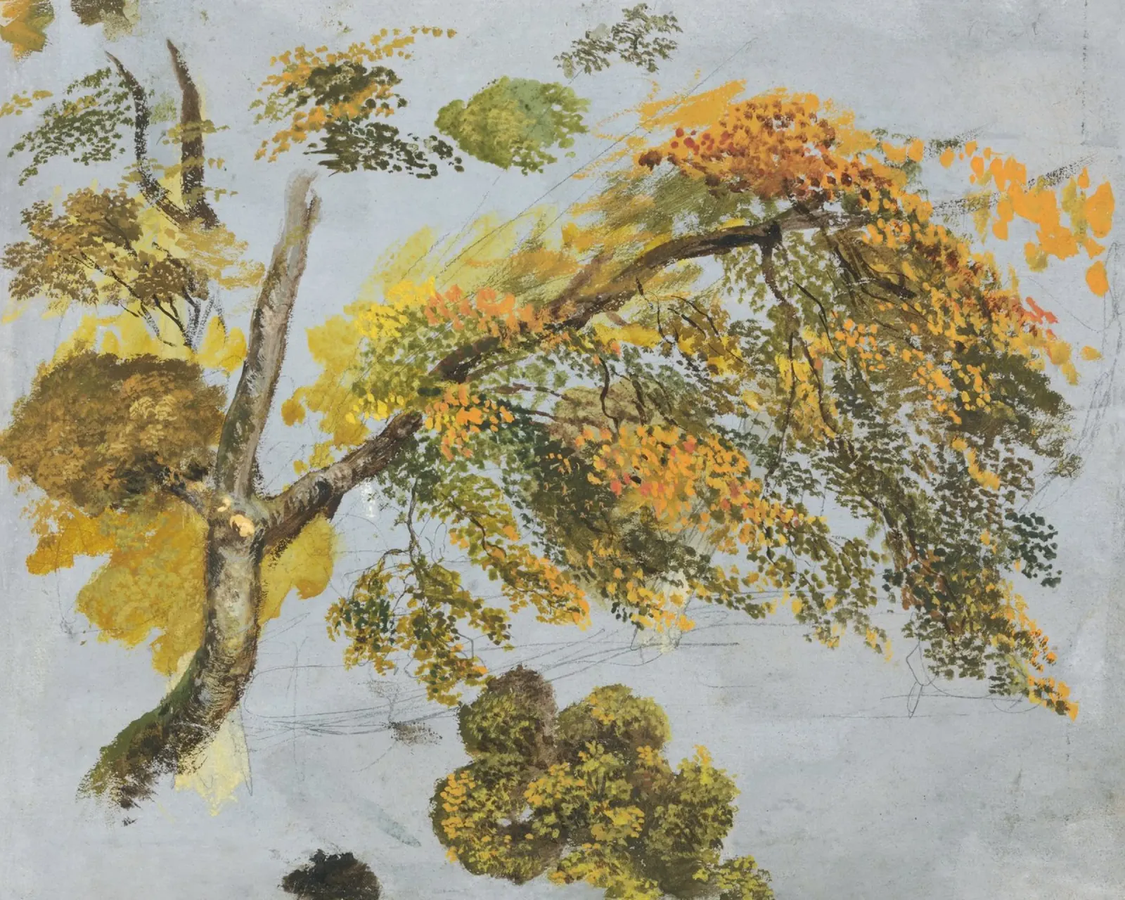 Tree Study (Autumn Foliage carta hahnemühle da vintageshop