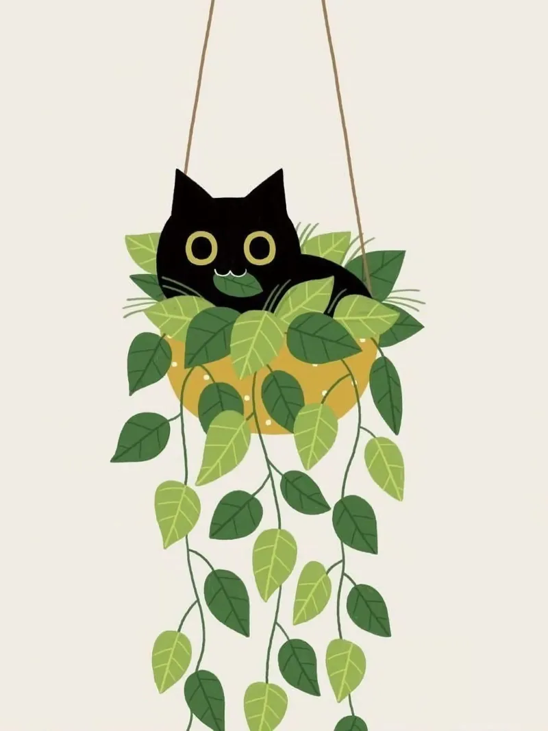black cat lie on vase pellicola backlit da Fesi