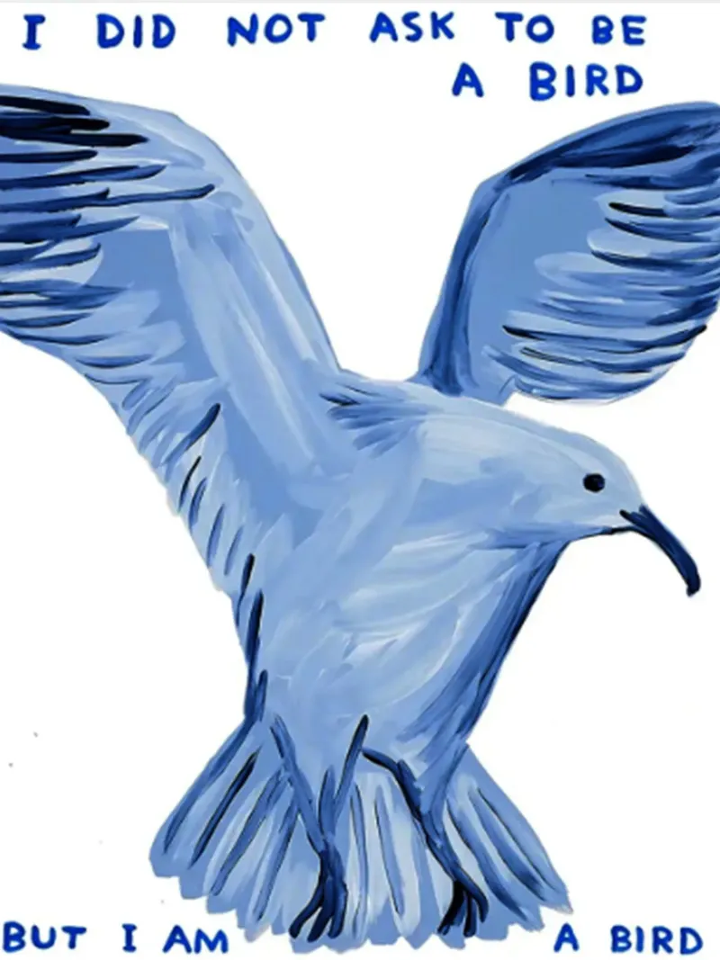 I Did Not Ask To Be A Bird hahnemühle by Annie