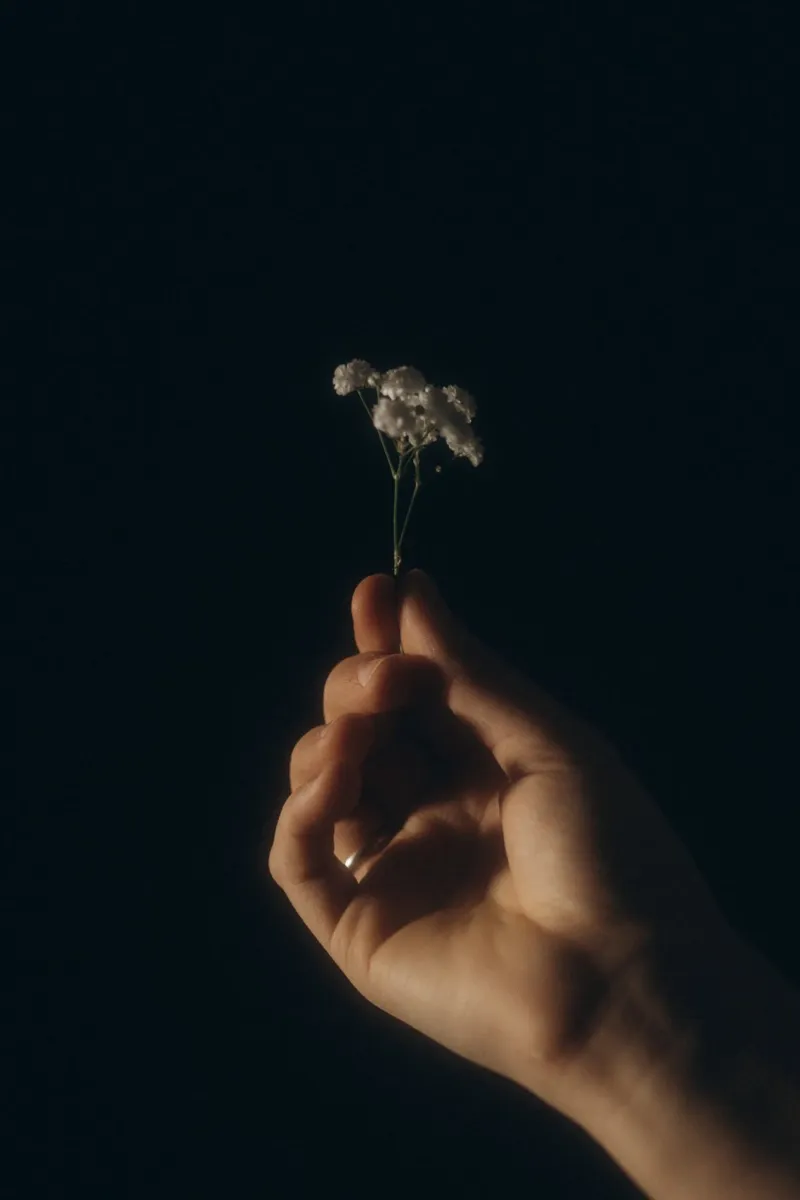 Gypsophilia Pt. II hahnemühle by selfieswithlove
