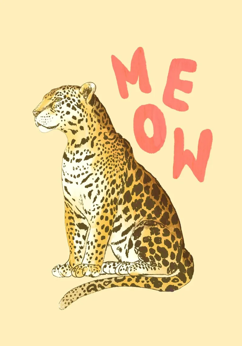 Meow III carta hahnemühle da Studio Dolci