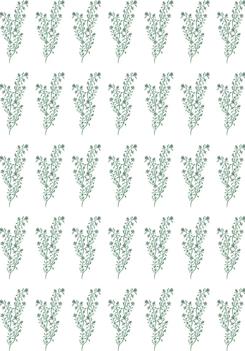 Thyme Pattern #1 hahnemühle de kathrinmay