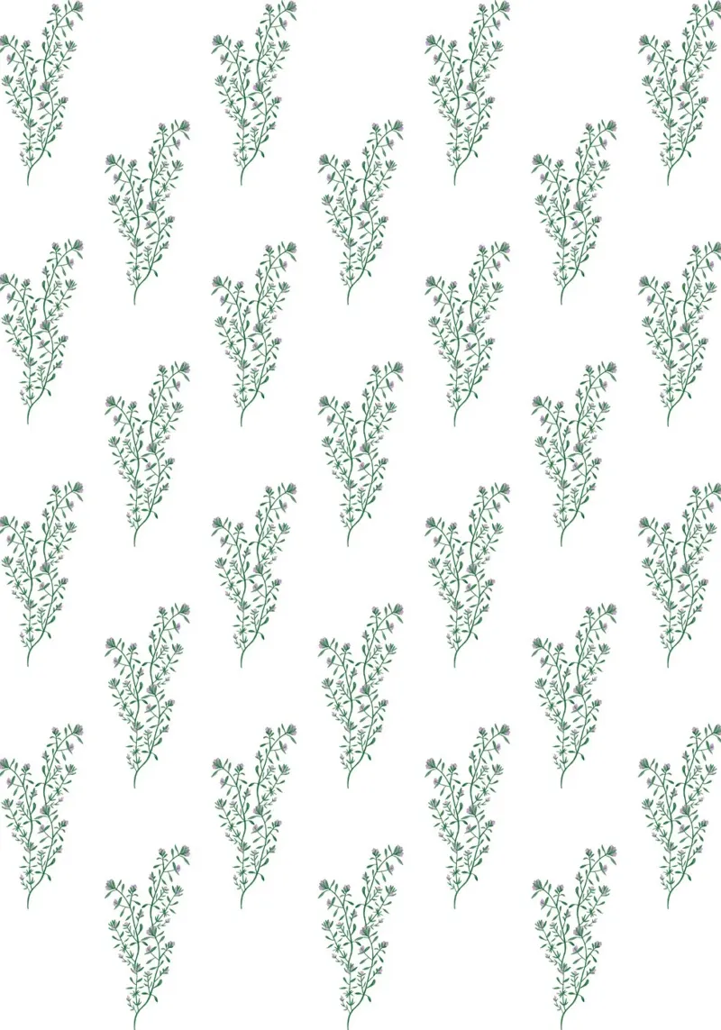 Thyme Pattern #2 pellicola backlit da kathrinmay