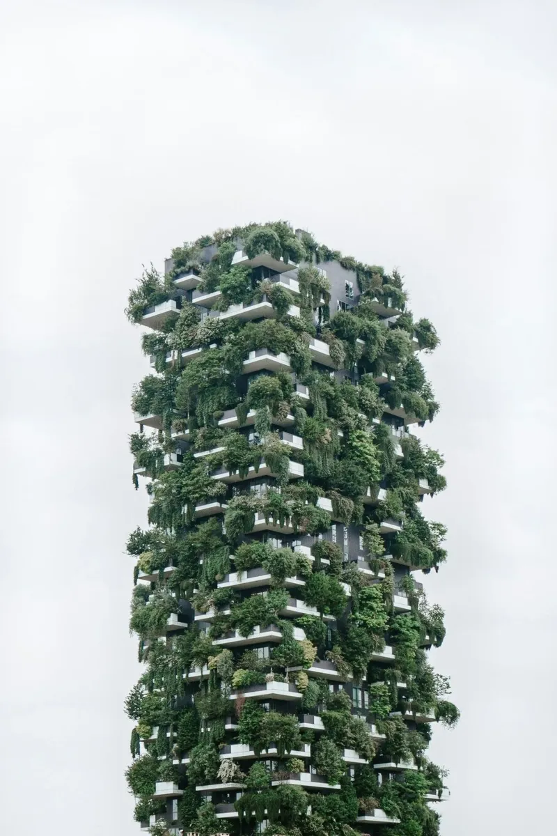 sky forest building pellicola backlit da feny