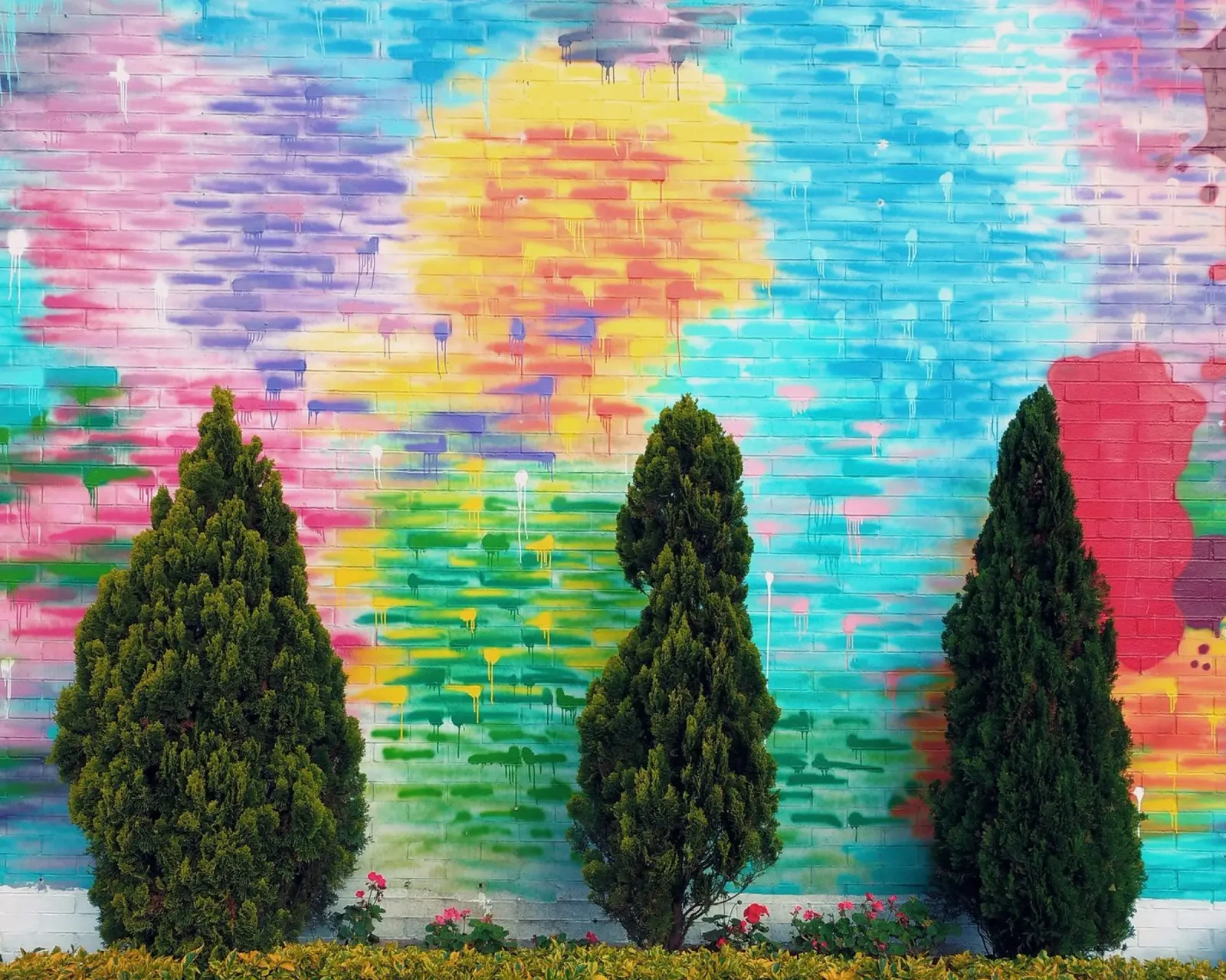 tree in color wall carta hahnemühle da feny