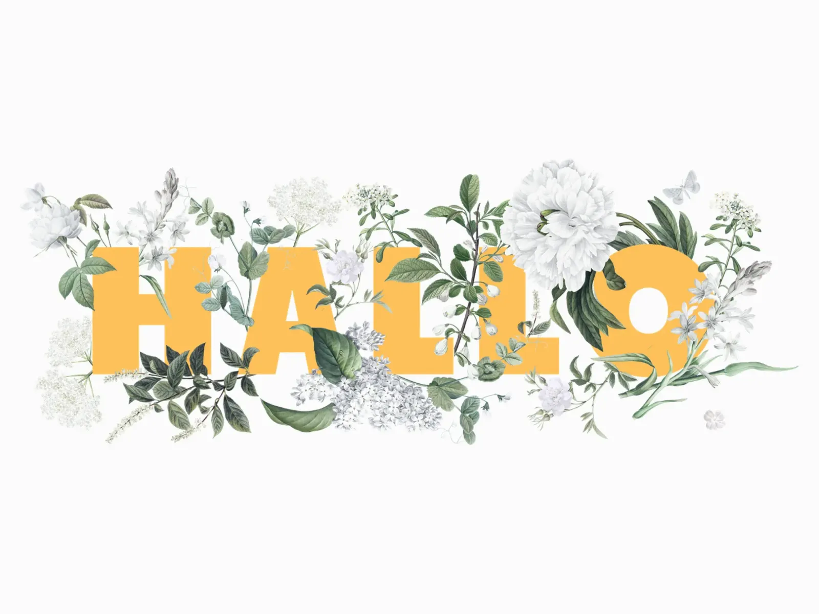 Ciao Fiori e Insetti Giallo Bianco alluminio dibond da Studio Frances M