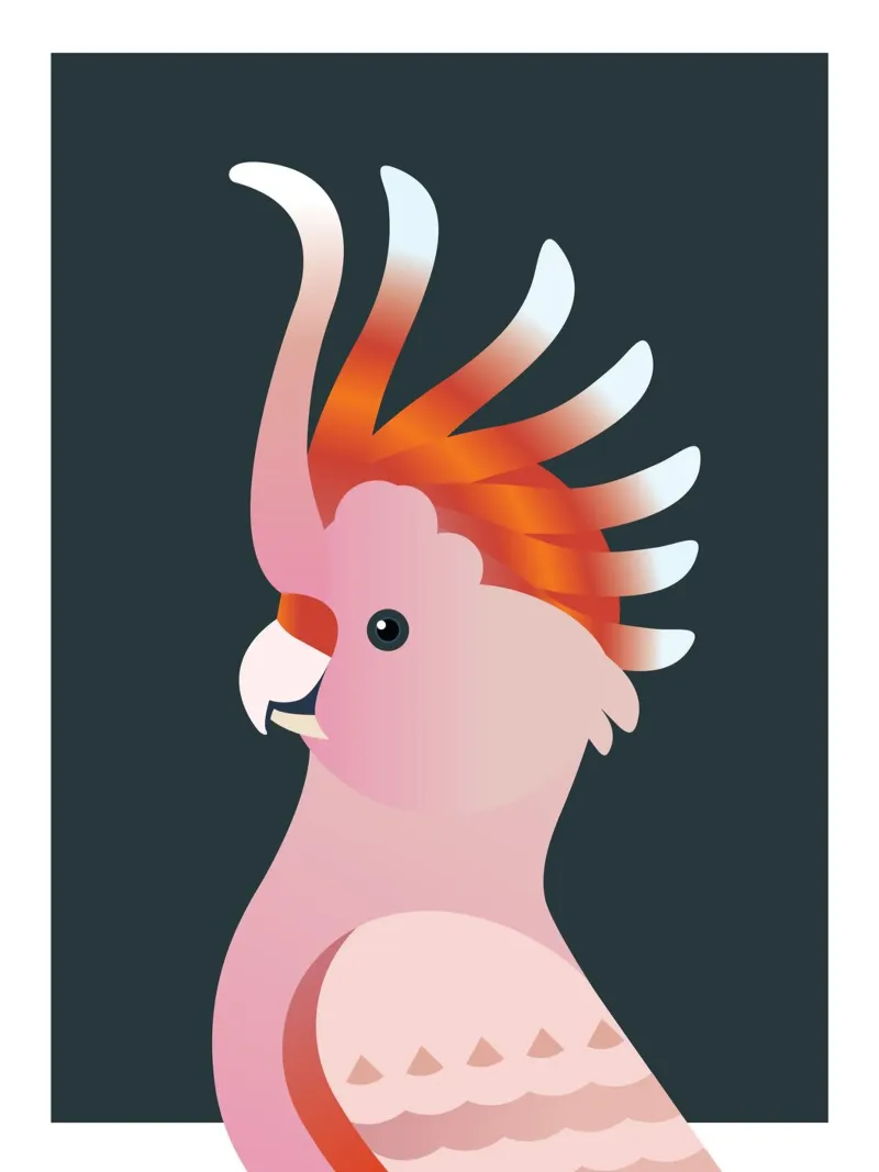 Uccello cacatua rosa pellicola backlit da Schuhmann Design