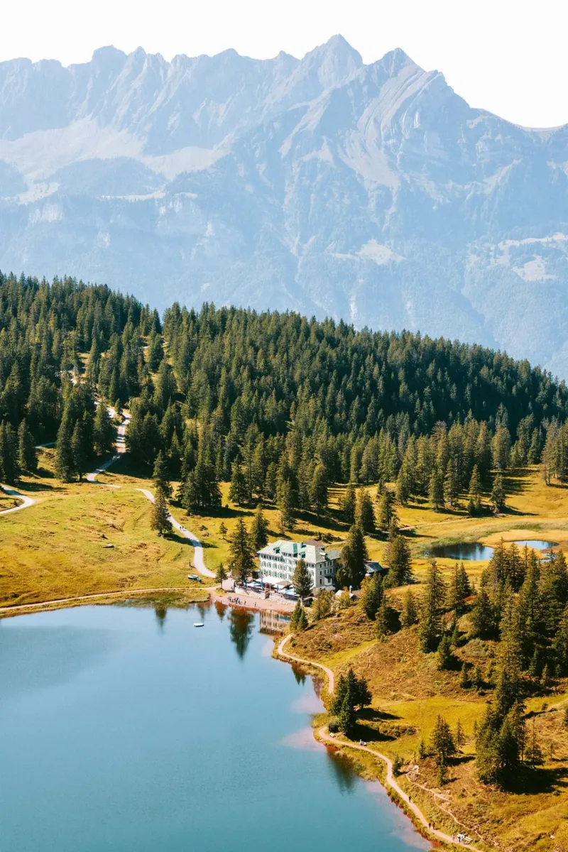 landscape with forest pellicola backlit da feny