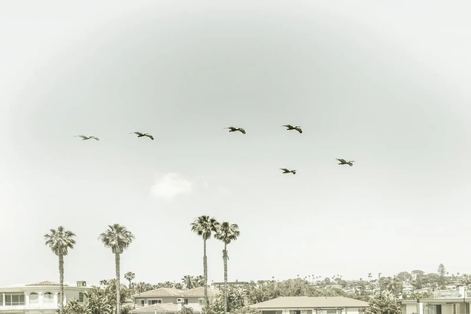 Sopra i tetti di San Diego | Vintage alluminio dibond da Melanie Viola