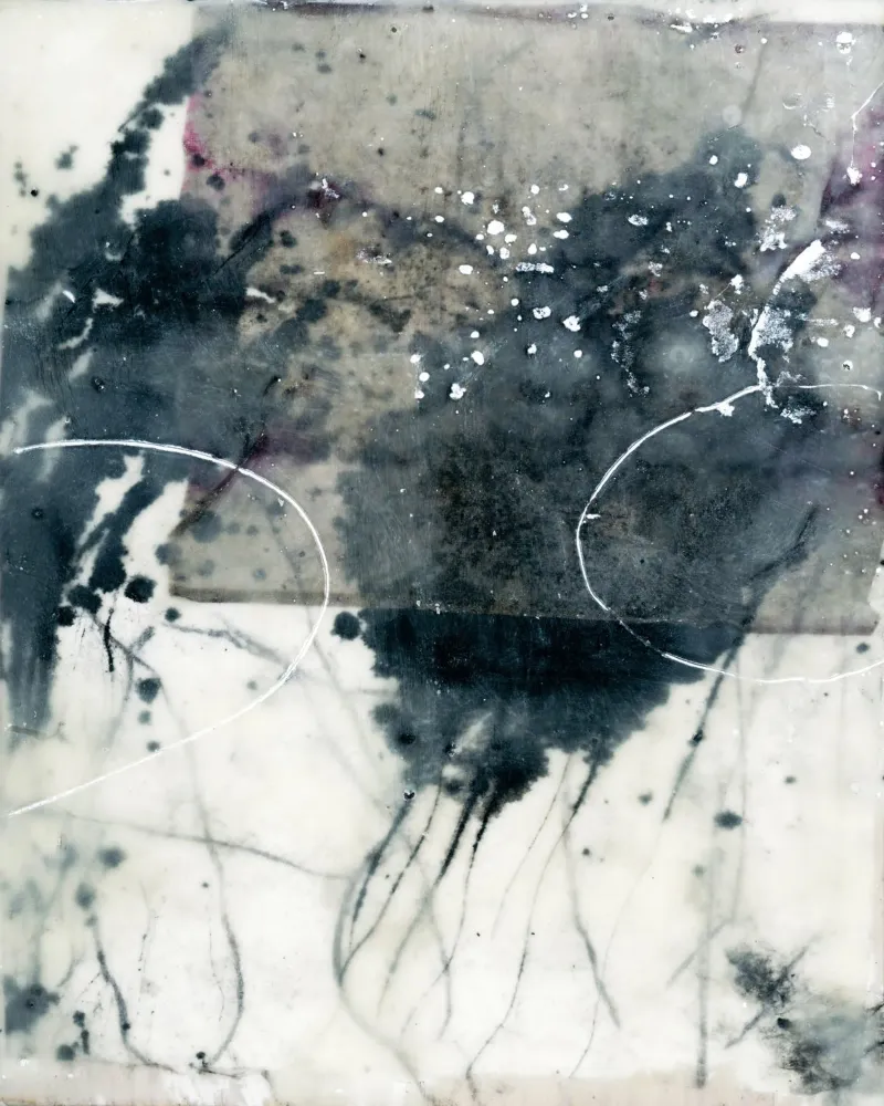 tracemarks of nature alluminio dibond da IRIS LEHNHARDT FINE ART