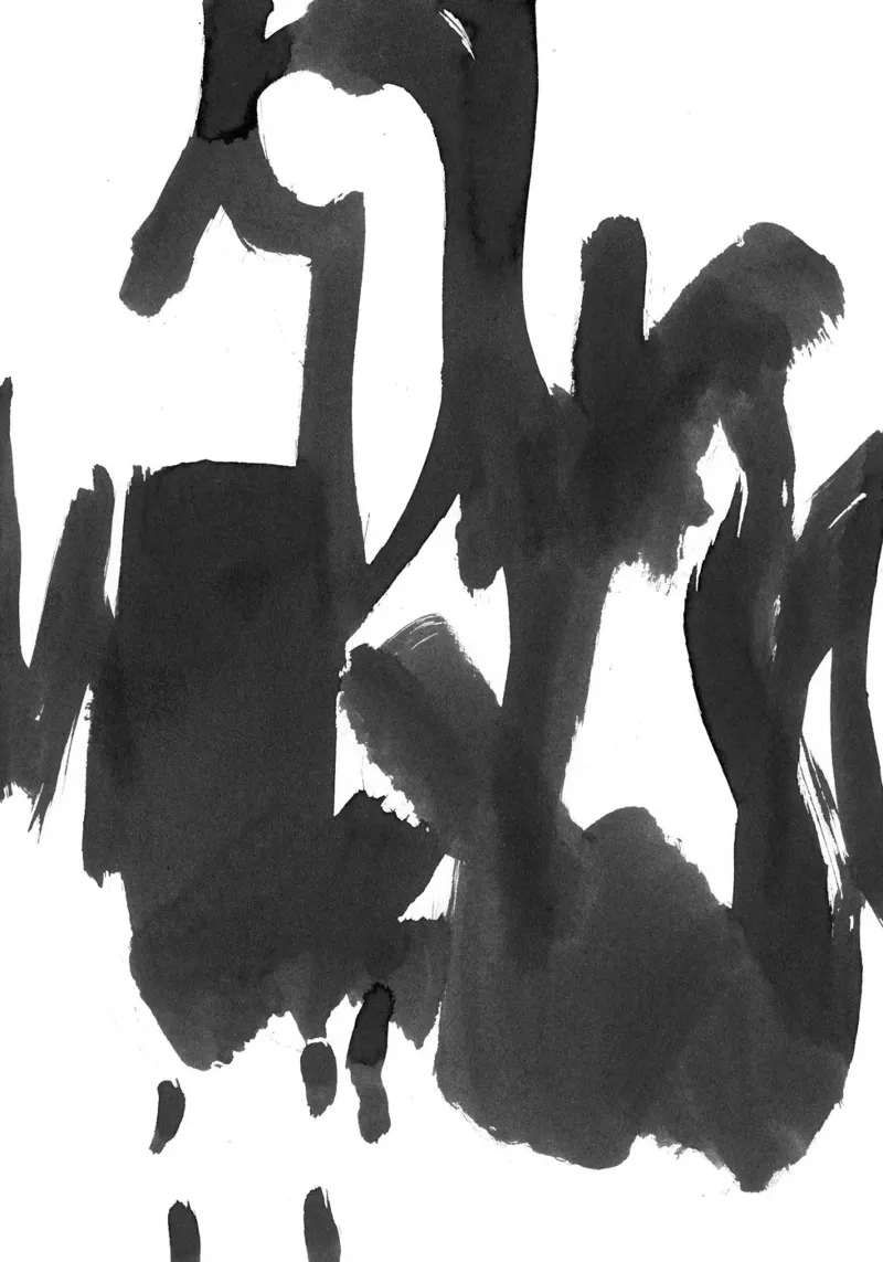 black ink strokes carta hahnemühle da IRIS LEHNHARDT FINE ART