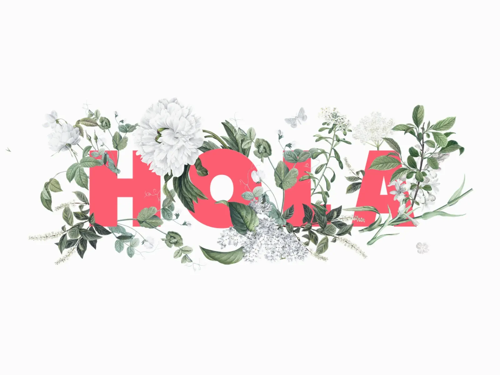 Hola Fiori e Insetti Rosso Bianco alluminio dibond da Studio Frances M