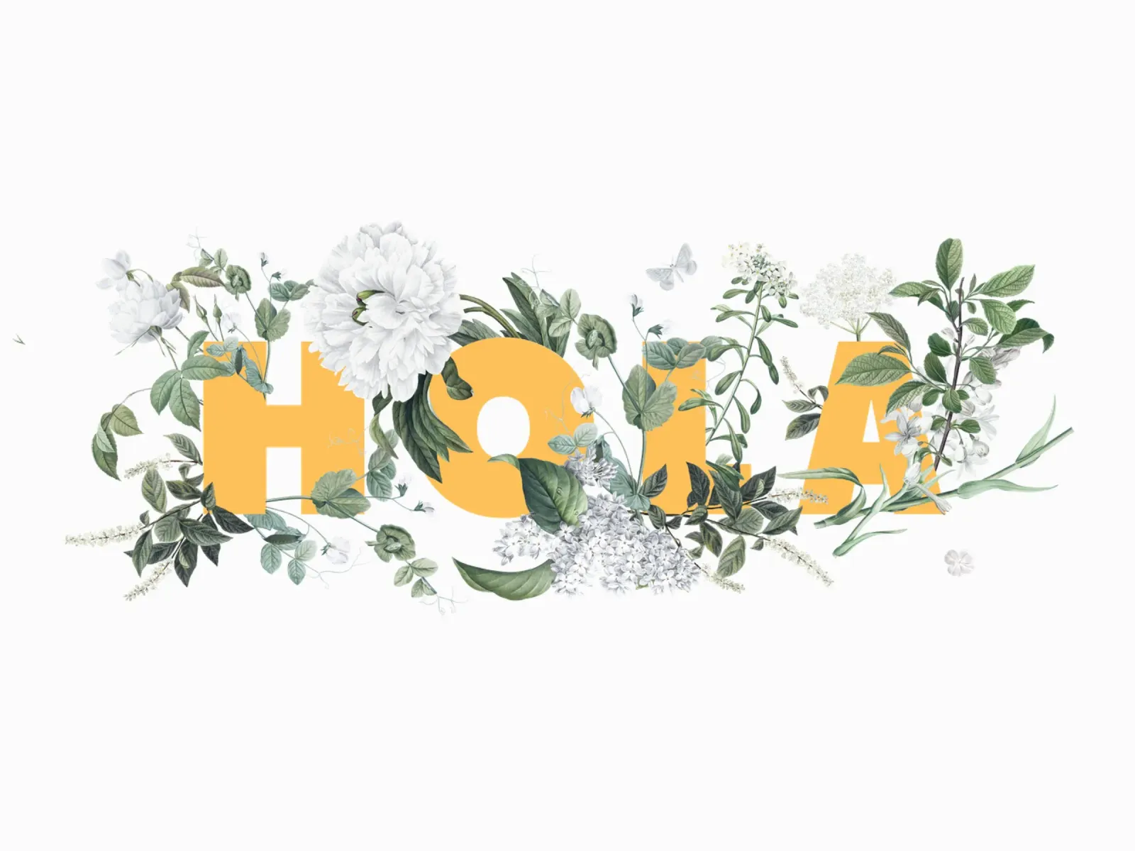 Hola Fiori e Insetti Giallo Bianco carta hahnemühle da Studio Frances M